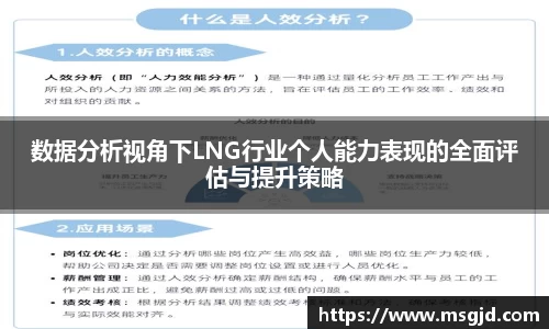 数据分析视角下LNG行业个人能力表现的全面评估与提升策略